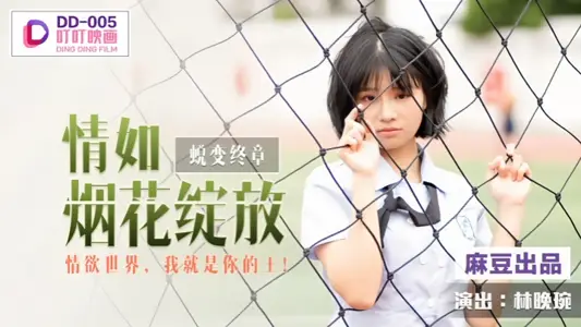 【林晚琬】DD005 蜕变终章之情如烟花绽放