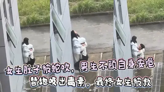 女生肚子被蛇咬，男生不顾自身安危  替她吸出毒素，最终女生被救